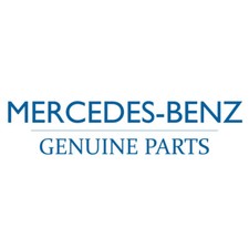 Genuine front bumper mesh - genuine,
