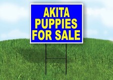 Akita PUPPIES FOR SALE YELLOW