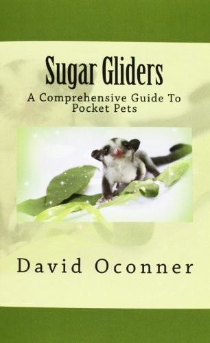 Sugar gliders comprehensive - sugar, a