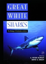 Great White Sharks -