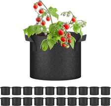 HONGVILLE 20-Pack Black Grow