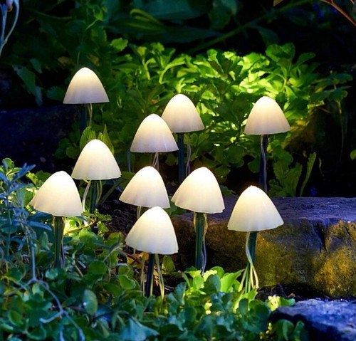 Solar mushroom garden - mushroom,