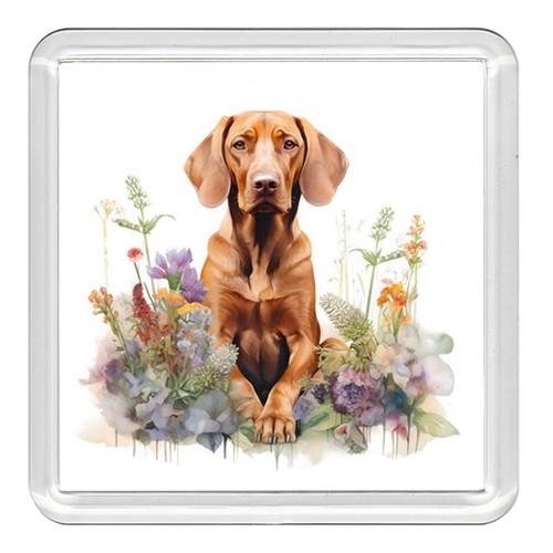 Hungarian vizsla dog acrylic - hungarian,
