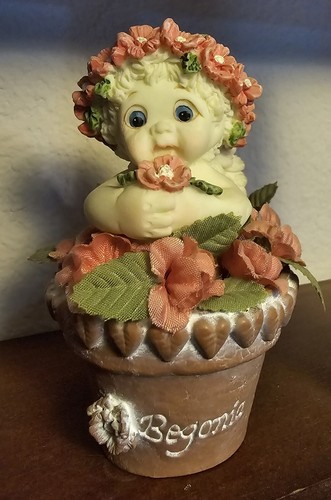 Dreamsicles bloom series - in,
