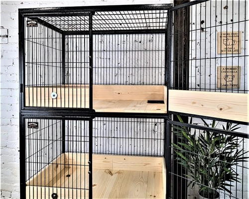 Scatter guards for - guards,