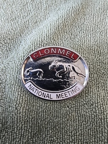 Clonmel national meeting - national, most