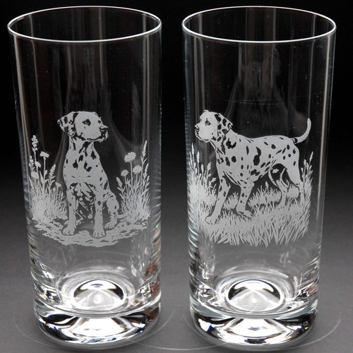 Dalmatian dog highball glass - dalmatian,