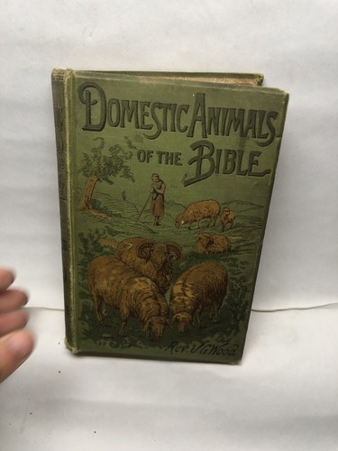 Domestic animals the bible - domestic,