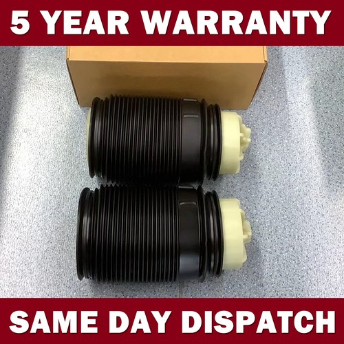 Pair left right rear air - left,