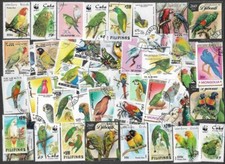 PARROTS BIRDS 50 ALL DIFFERENT COLLECTION    29/6/24 (SOME MACAWS-COCKATOOS ETC)