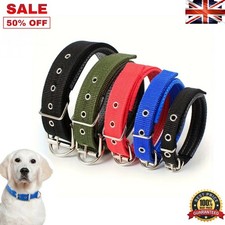 Solid Nylon Dog Collar