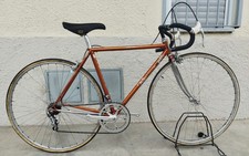 Wilier Triestina Pantographed