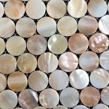11PCS Natural Penny Round
