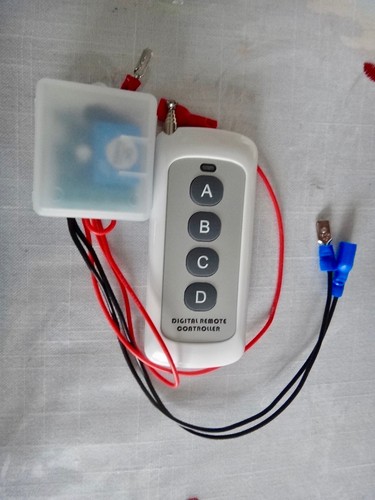 Remote control for pigeon - control,