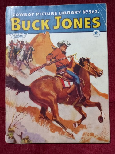 Cowboy picture library - cowboy, no