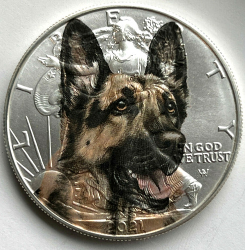 German shepherd american - german,