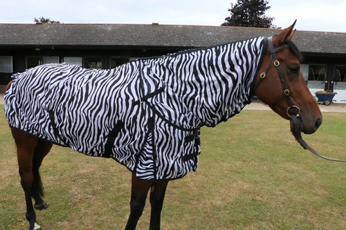 Zebra print fly - print, hook
