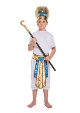 Boys Egyptian Pharaoh Costume