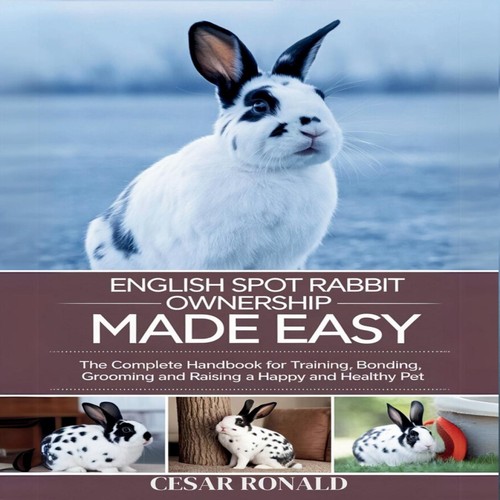 English spot rabbit ownership - spot,