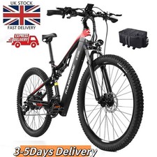 randride YG90B Electric Bike