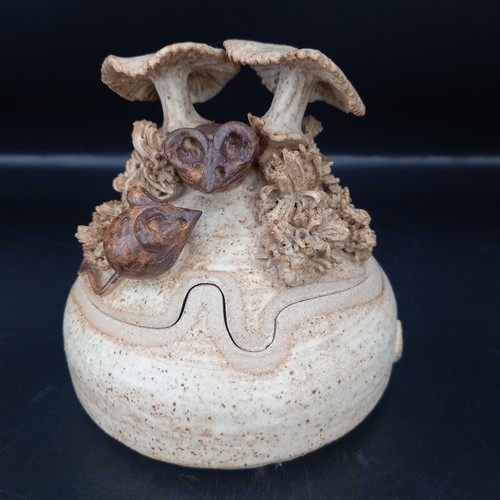 Catherine burden studio - catherine,
