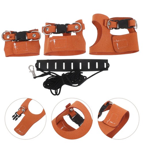 Ferret leash and harness set - ferret,
