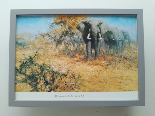 David shepherd print - david,