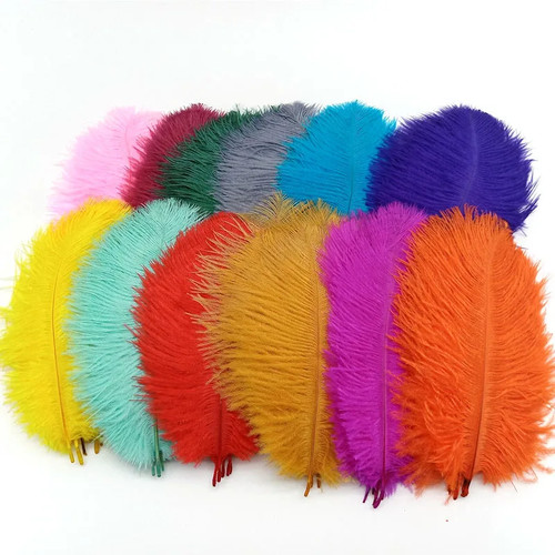 10pcs ostrich feathers plumes - 10pcs,