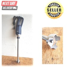 Commercial Immersion Handheld