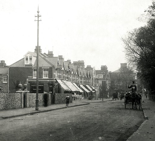 Sidcup hamilton parade pony - hamilton,