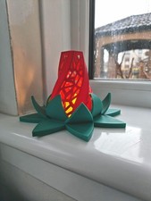 Lotus Blossom Flower