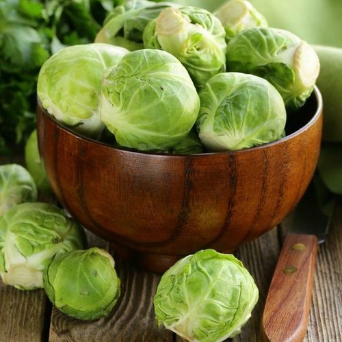 Dwarf brussels sprouts long - dwarf,