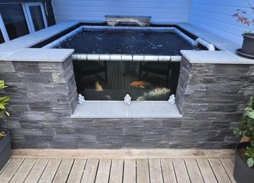 Koi pond toughened glass - koi,