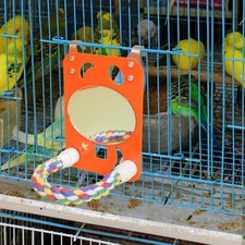 Bird Mirror with Perch Bird