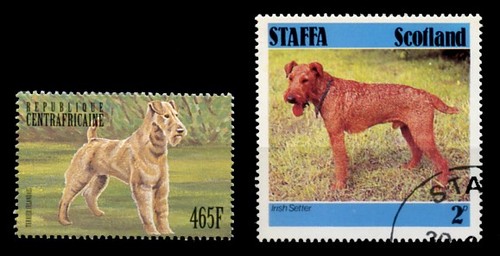 Irish terrier dog postage - irish,