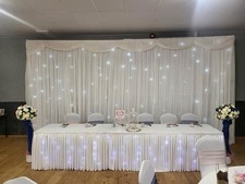 6M White LED Starlight Wedding