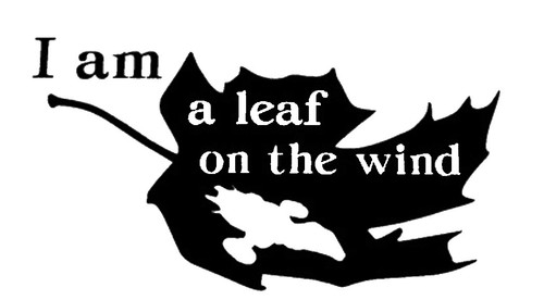 Vinyl decal sticker car - sticker, truck