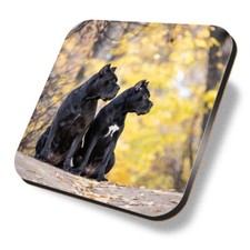 Square mdf coaster cane - coaster,
