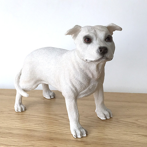 White staffordshire bull - white,