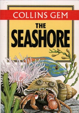 Seashore - (gem, guides)