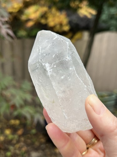 Lemurian seed clear - seed, quartz