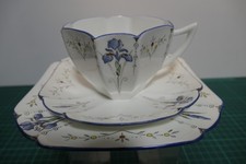 Shelley Trio in the Blue Iris