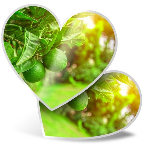 Heart stickers cm - stickers,