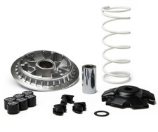 5119095 Variator Malossi