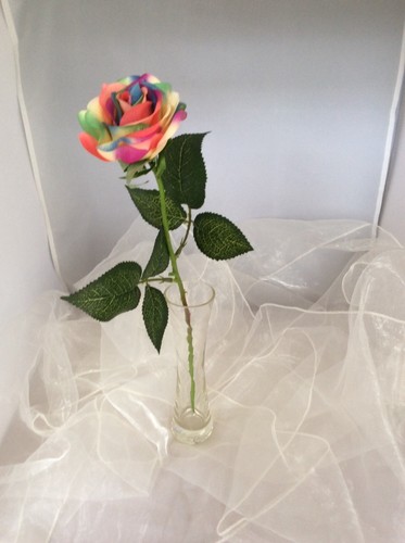 Single rainbow multi - single,
