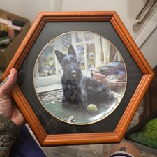 Danbury Mint Collecter