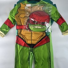 Teenage Mutant Ninja Turtle