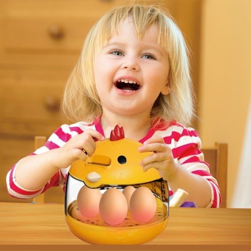 Eggs incubator practical - incubator,