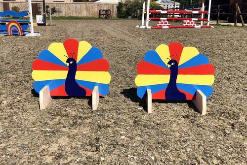 Show jump fillers pair of - jump,