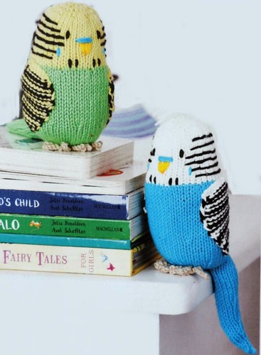 Colourful budgies birdies - colourful,